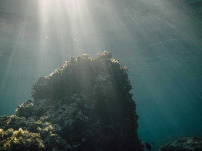 Coral reefs under water